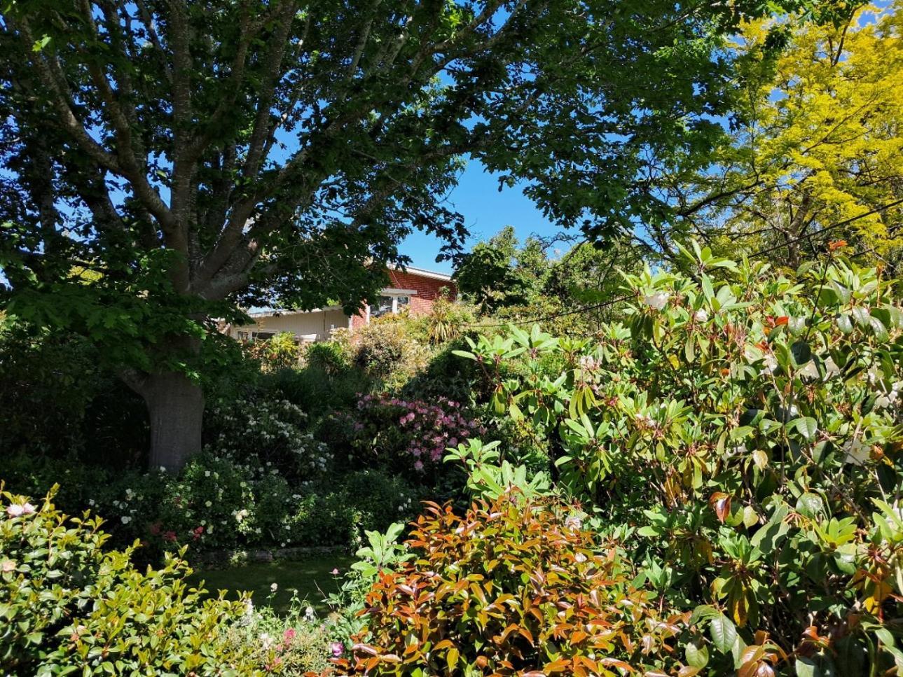 Bed and Breakfast Niloc à Waimate Extérieur photo